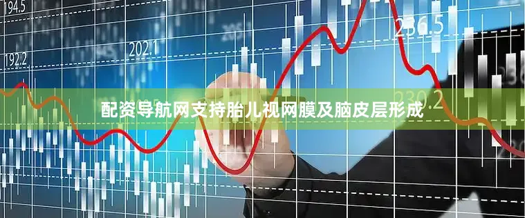 配资导航网支持胎儿视网膜及脑皮层形成